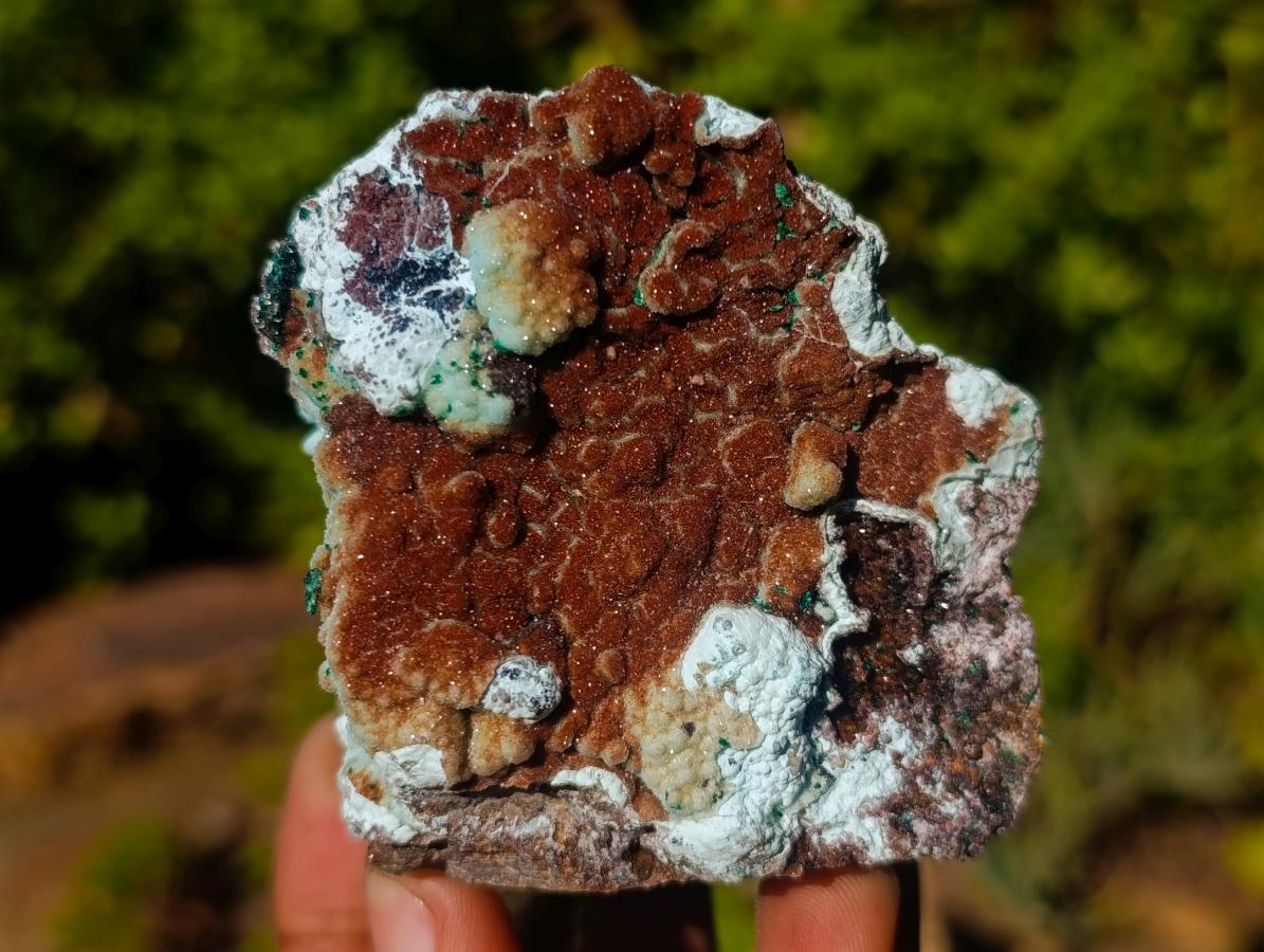 Natural Copper and Chrysocolla Drusy Coated Specimen x 1 From Congo