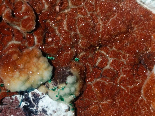 Natural Copper and Chrysocolla Drusy Coated Specimen x 1 From Congo