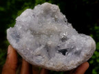 Natural Acicular Prismatic Ice Blue Celestite Crystal Specimen x 1 From Sakoany, Madagascar