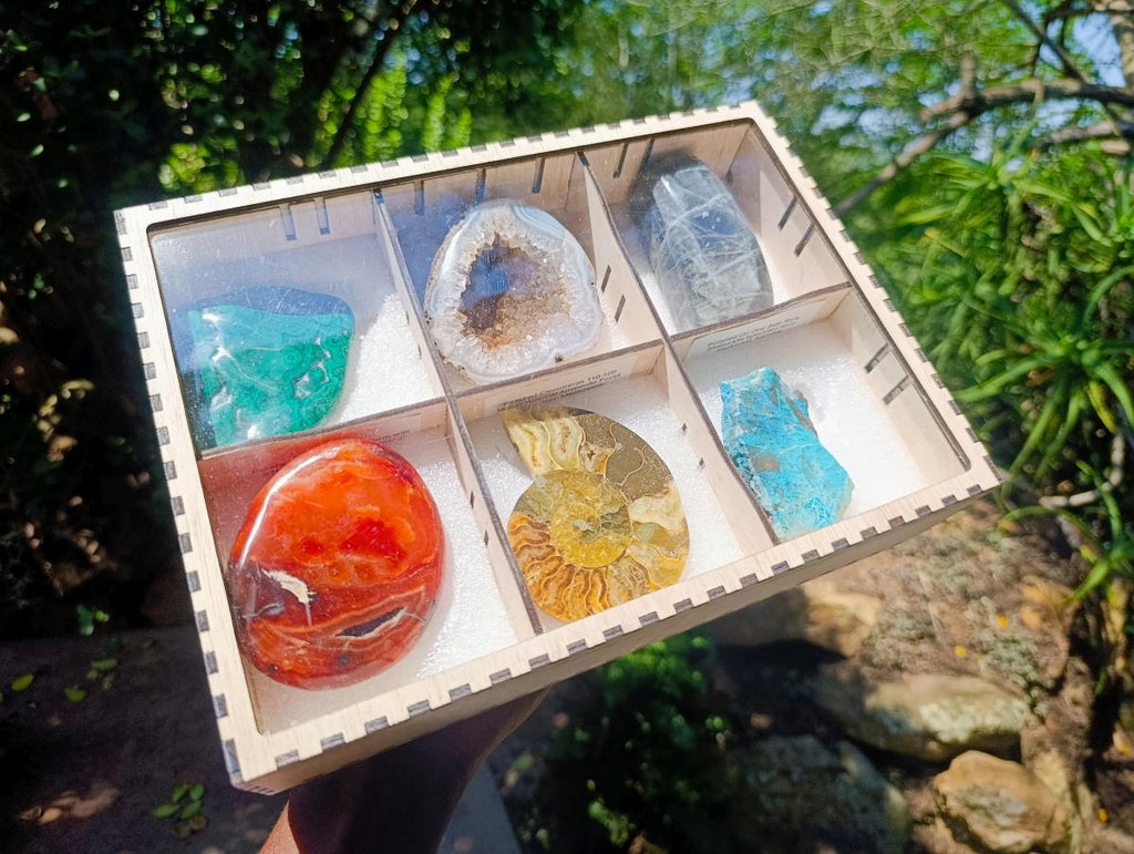 Polished and Natural Mixed Collectors Set of 6 African Gemstones, Fossil and Geode in a Wooden Display Box x 1 From Southern Africa