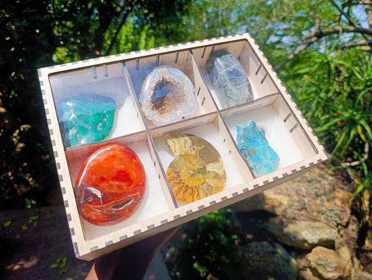 Polished and Natural Mixed Collectors Set of 6 African Gemstones, Fossil and Geode in a Wooden Display Box x 1 From Southern Africa