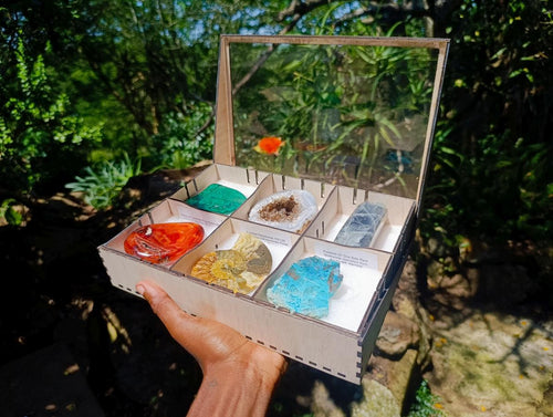 Polished and Natural Mixed Collectors Set of 6 African Gemstones, Fossil and Geode in a Wooden Display Box x 1 From Southern Africa