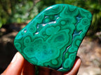 Polished and Natural Mixed Collectors Set of 6 African Gemstones, Fossil and Geode in a Wooden Display Box x 1 From Southern Africa