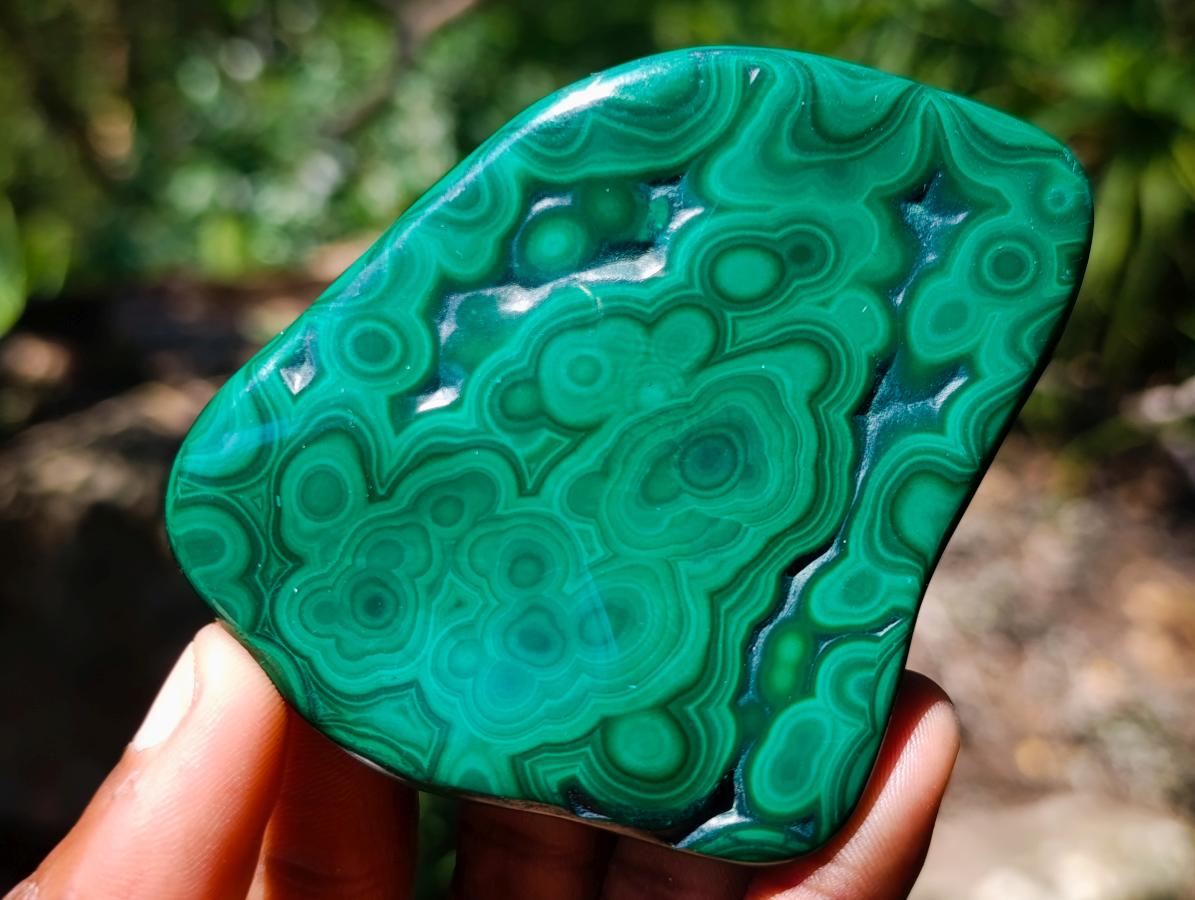 Polished and Natural Mixed Collectors Set of 6 African Gemstones, Fossil and Geode in a Wooden Display Box x 1 From Southern Africa