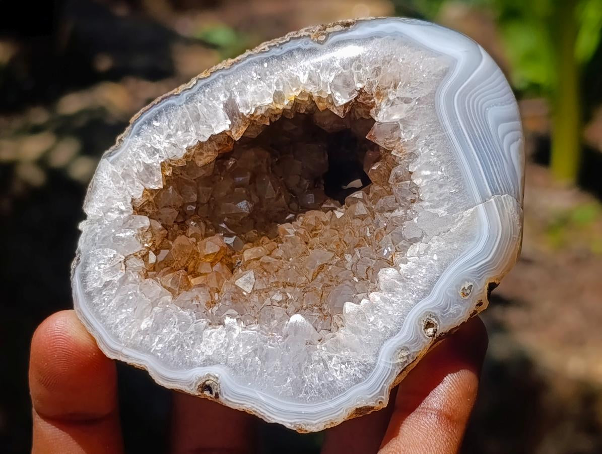 Polished and Natural Mixed Collectors Set of 6 African Gemstones, Fossil and Geode in a Wooden Display Box x 1 From Southern Africa