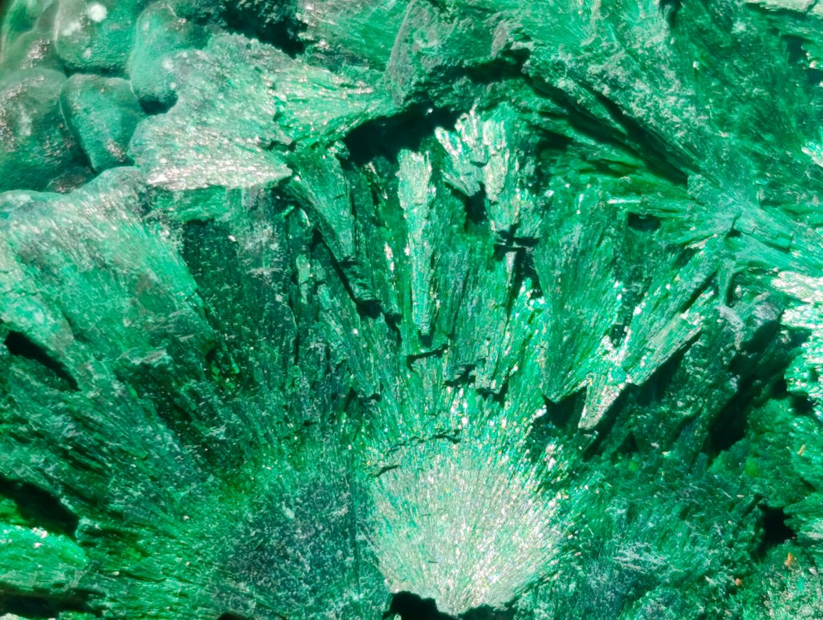 Natural Large Botryoidal and Fibrous Malachite Cabinet Specimen x 1 From Kasompe, Congo