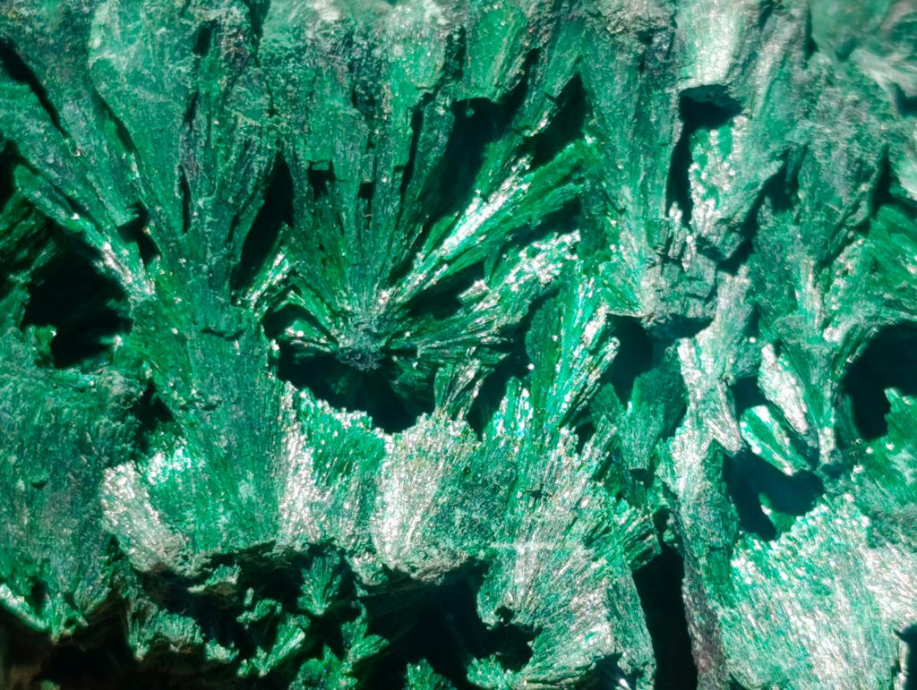 Natural Large Botryoidal and Fibrous Malachite Cabinet Specimen x 1 From Kasompe, Congo
