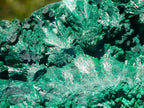 Natural Large Botryoidal and Fibrous Malachite Cabinet Specimen x 1 From Kasompe, Congo