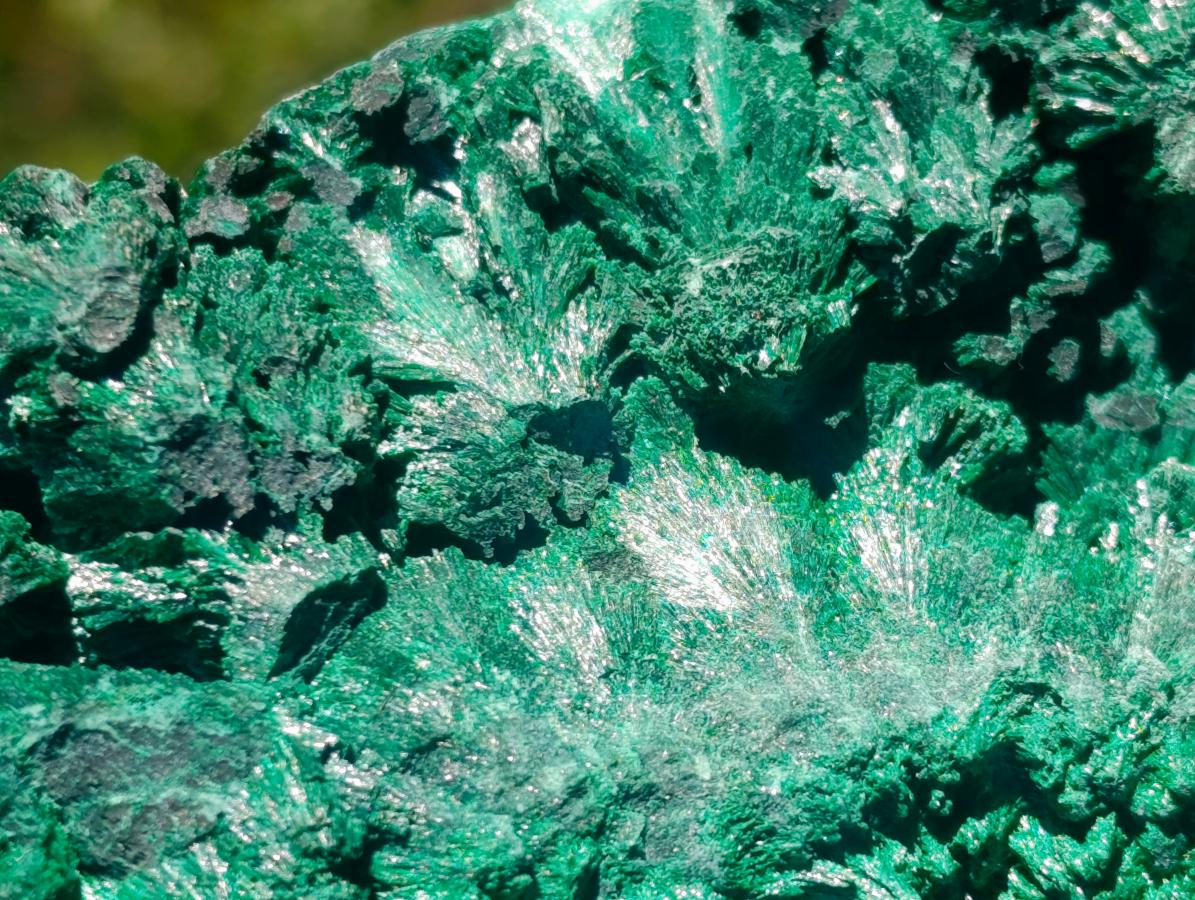 Natural Large Botryoidal and Fibrous Malachite Cabinet Specimen x 1 From Kasompe, Congo