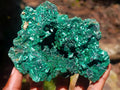 Natural Silky Malachite Vug Cabinet Specimen x 1 From Kasompe, Congo