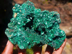 Natural Silky Malachite Vug Cabinet Specimen x 1 From Kasompe, Congo