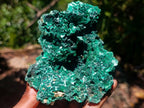 Natural Silky Malachite Vug Cabinet Specimen x 1 From Kasompe, Congo