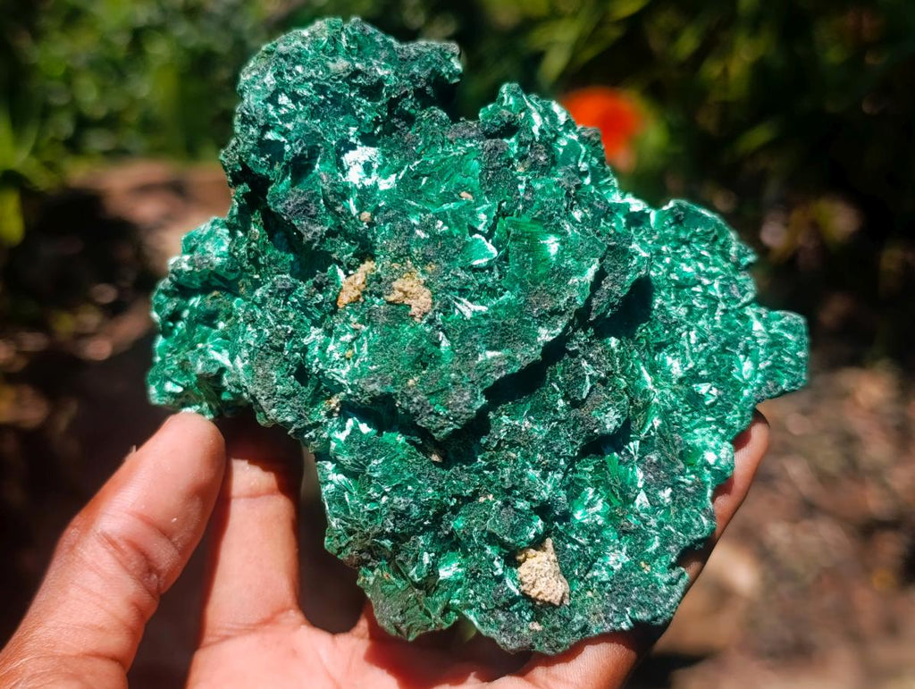 Natural Silky Malachite Vug Cabinet Specimen x 1 From Kasompe, Congo