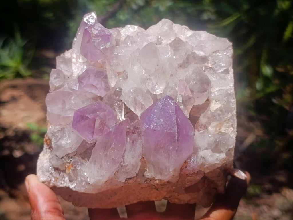 Natural Zambian Jacaranda Amethyst Crystal Cluster x 1 From Zambia