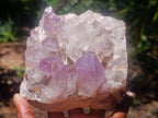 Natural Zambian Jacaranda Amethyst Crystal Cluster x 1 From Zambia