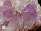 Natural Zambian Jacaranda Amethyst Crystal Cluster x 1 From Zambia