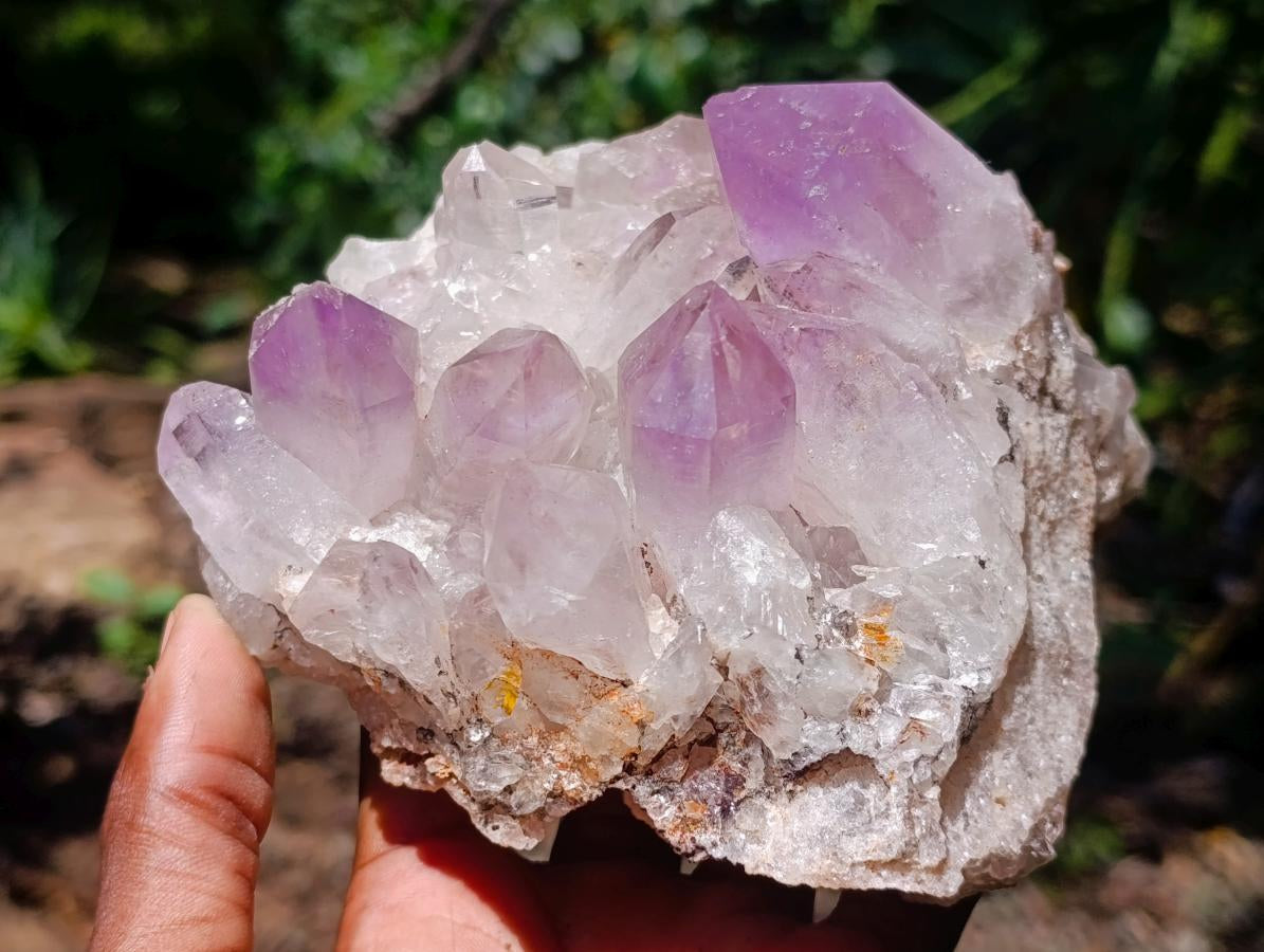 Natural Zambian Jacaranda Amethyst Crystal Cluster x 1 From Zambia