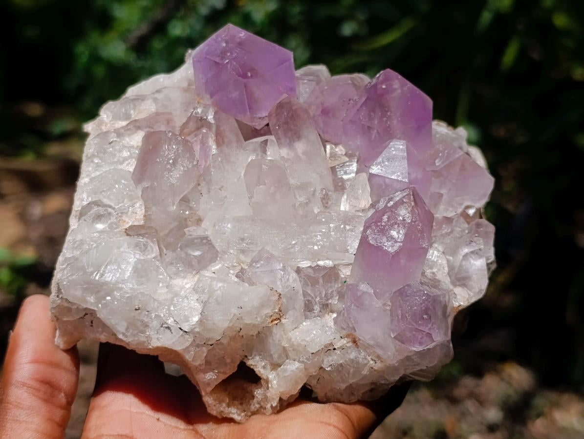 Natural Zambian Jacaranda Amethyst Crystal Cluster x 1 From Zambia
