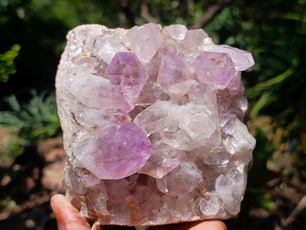 Natural Zambian Jacaranda Amethyst Crystal Cluster x 1 From Zambia