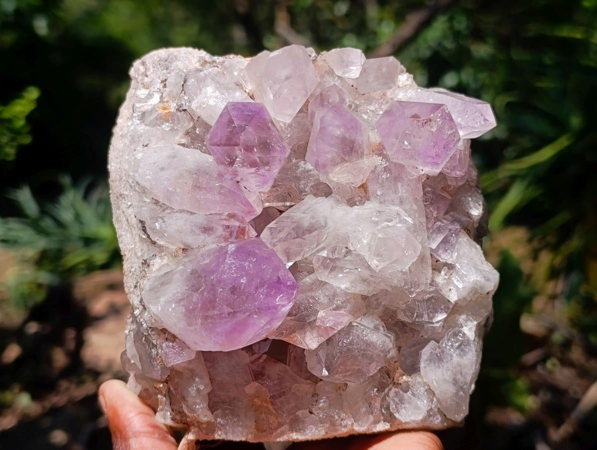 Natural Zambian Jacaranda Amethyst Crystal Cluster x 1 From Zambia