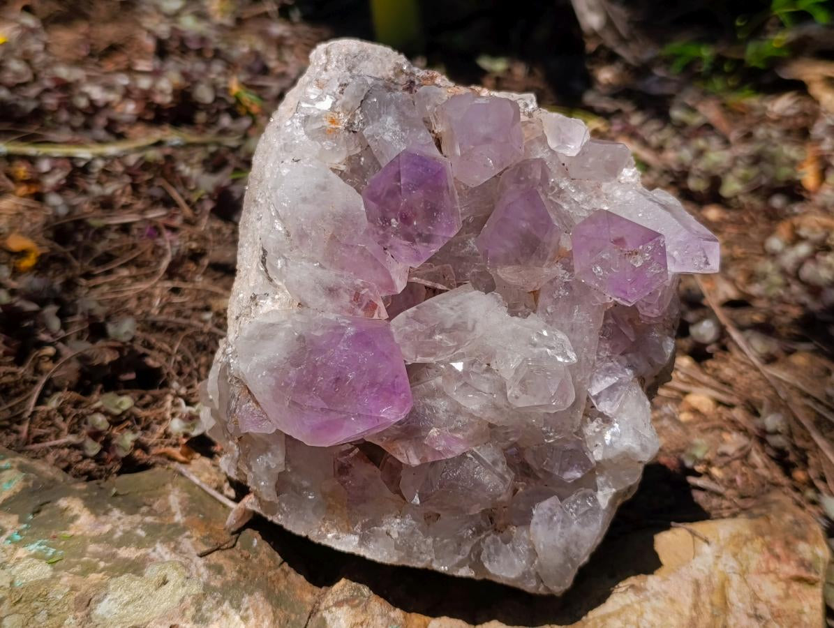 Natural Zambian Jacaranda Amethyst Crystal Cluster x 1 From Zambia