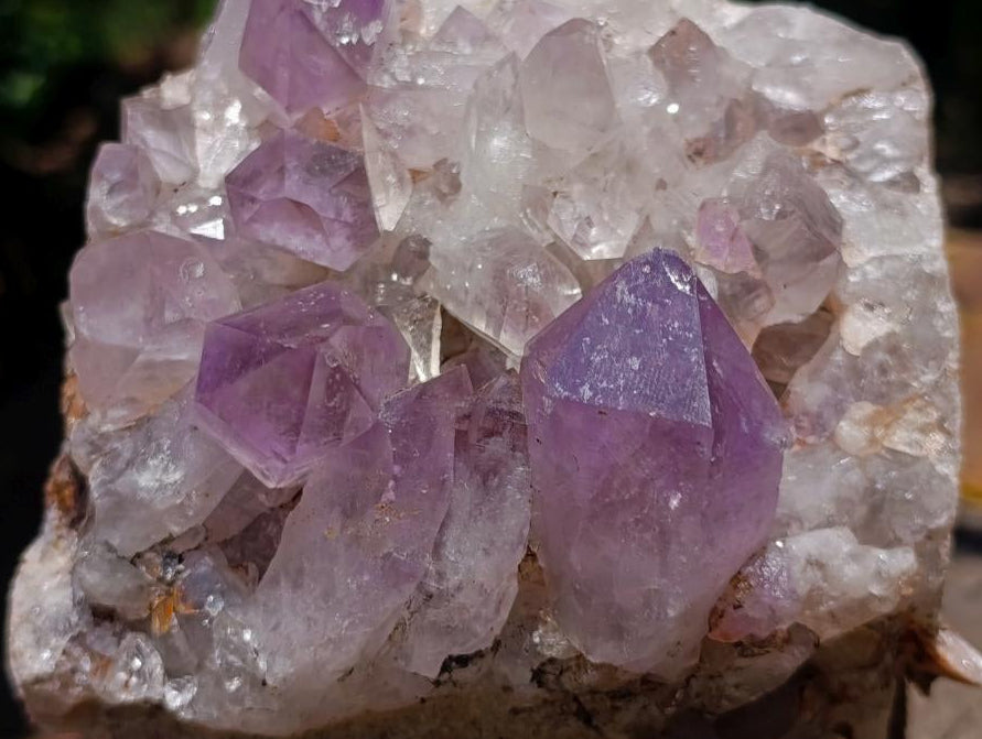 Natural Zambian Jacaranda Amethyst Crystal Cluster x 1 From Zambia