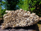 Natural Biggest and Best Albert Mountain Fluorescent Calcite Specimen in Existence x 1 From Albert's Mountain, Lesotho