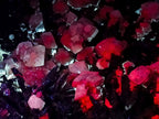Natural Biggest and Best Albert Mountain Fluorescent Calcite Specimen in Existence x 1 From Albert's Mountain, Lesotho