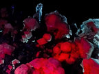Natural Biggest and Best Albert Mountain Fluorescent Calcite Specimen in Existence x 1 From Albert's Mountain, Lesotho