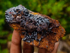 Natural Classic and Bright Rare Cuprite Specimen From Nicks Private Collection x 1 From Mashamba West Mine, Congo