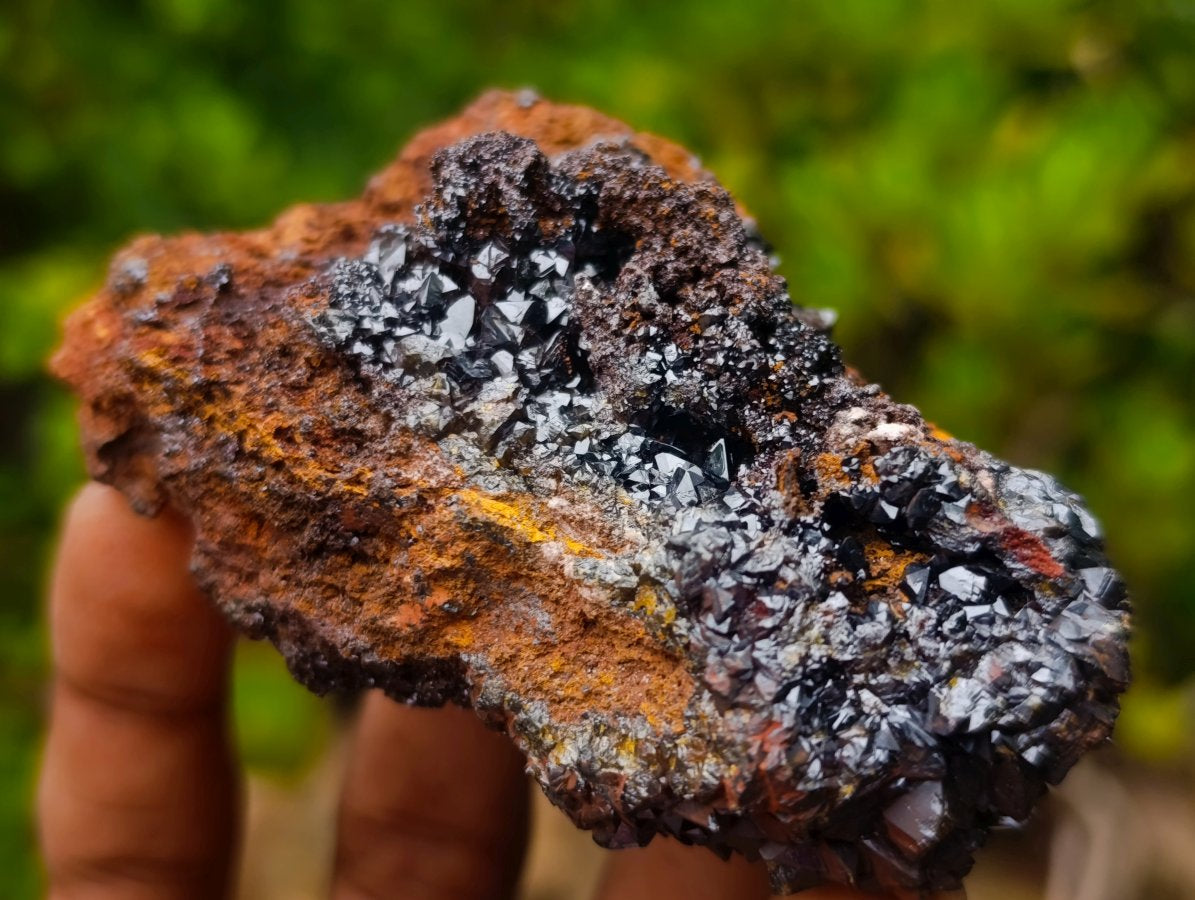 Natural Classic and Bright Rare Cuprite Specimen From Nicks Private Collection x 1 From Mashamba West Mine, Congo