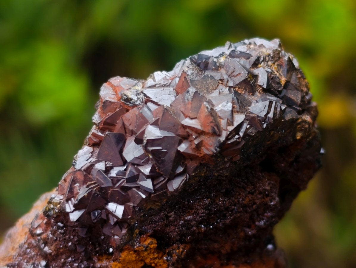 Natural Classic and Bright Rare Cuprite Specimen From Nicks Private Collection x 1 From Mashamba West Mine, Congo