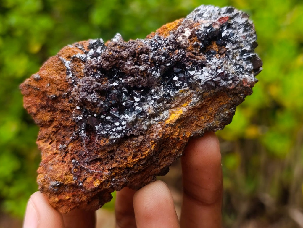 Natural Classic and Bright Rare Cuprite Specimen From Nicks Private Collection x 1 From Mashamba West Mine, Congo