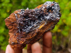 Natural Classic and Bright Rare Cuprite Specimen From Nicks Private Collection x 1 From Mashamba West Mine, Congo