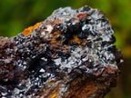 Natural Classic and Bright Rare Cuprite Specimen From Nicks Private Collection x 1 From Mashamba West Mine, Congo