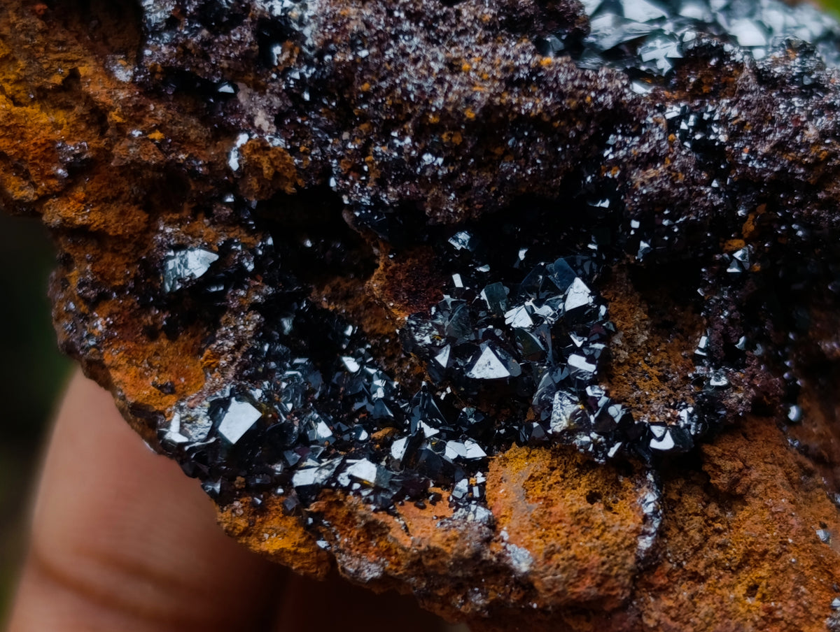 Natural Classic and Bright Rare Cuprite Specimen From Nicks Private Collection x 1 From Mashamba West Mine, Congo