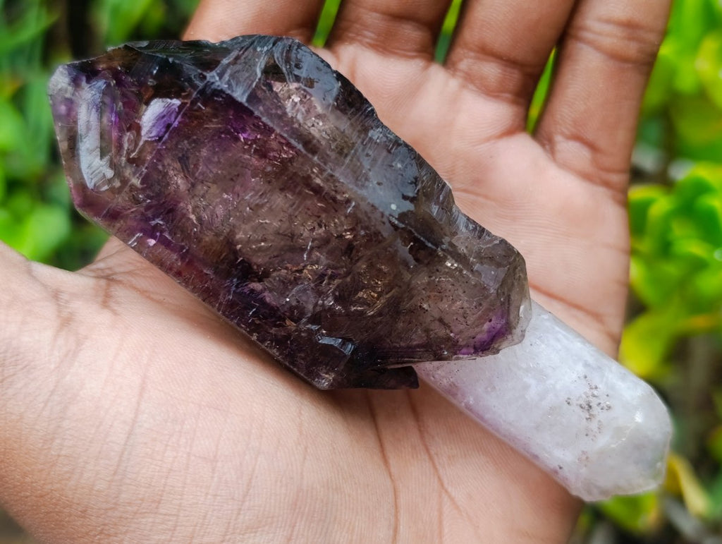 Natural Chiredzi Window Amethyst Scepter Crystal x 1 From Chiredzi, Zimbabwe
