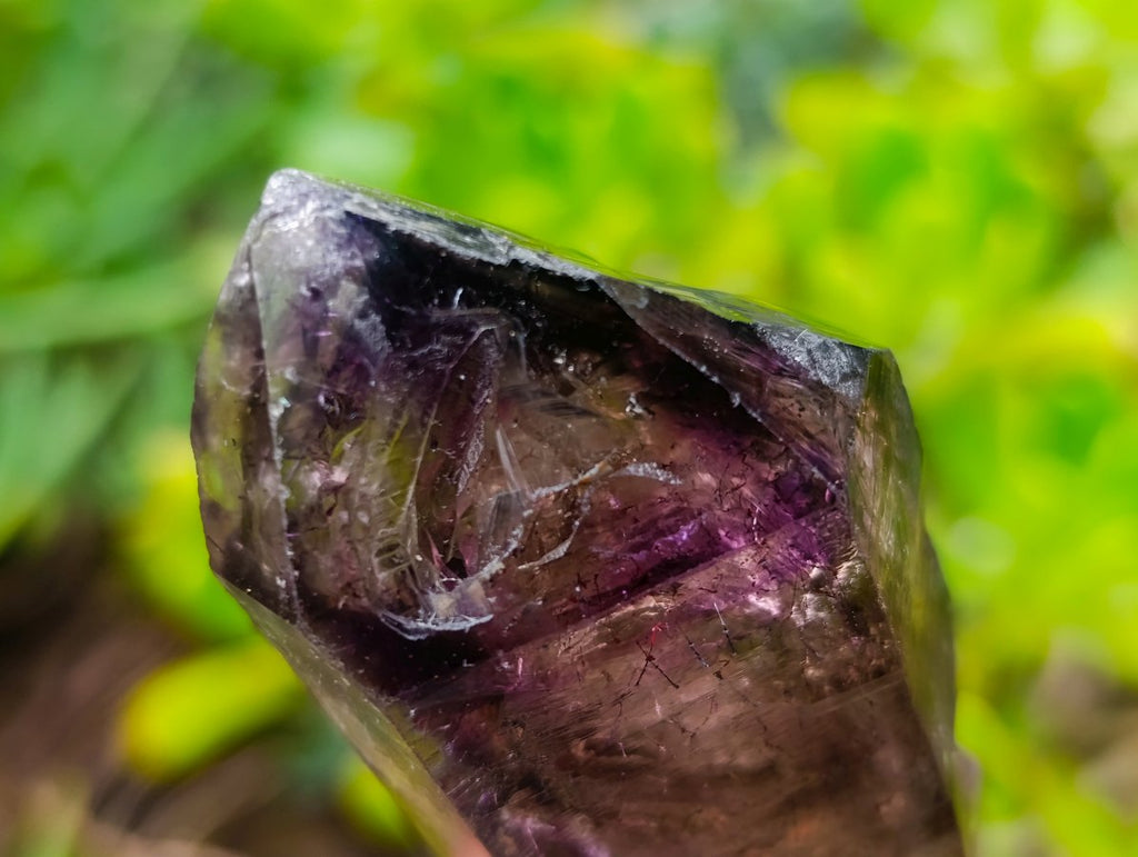 Natural Chiredzi Window Amethyst Scepter Crystal x 1 From Chiredzi, Zimbabwe