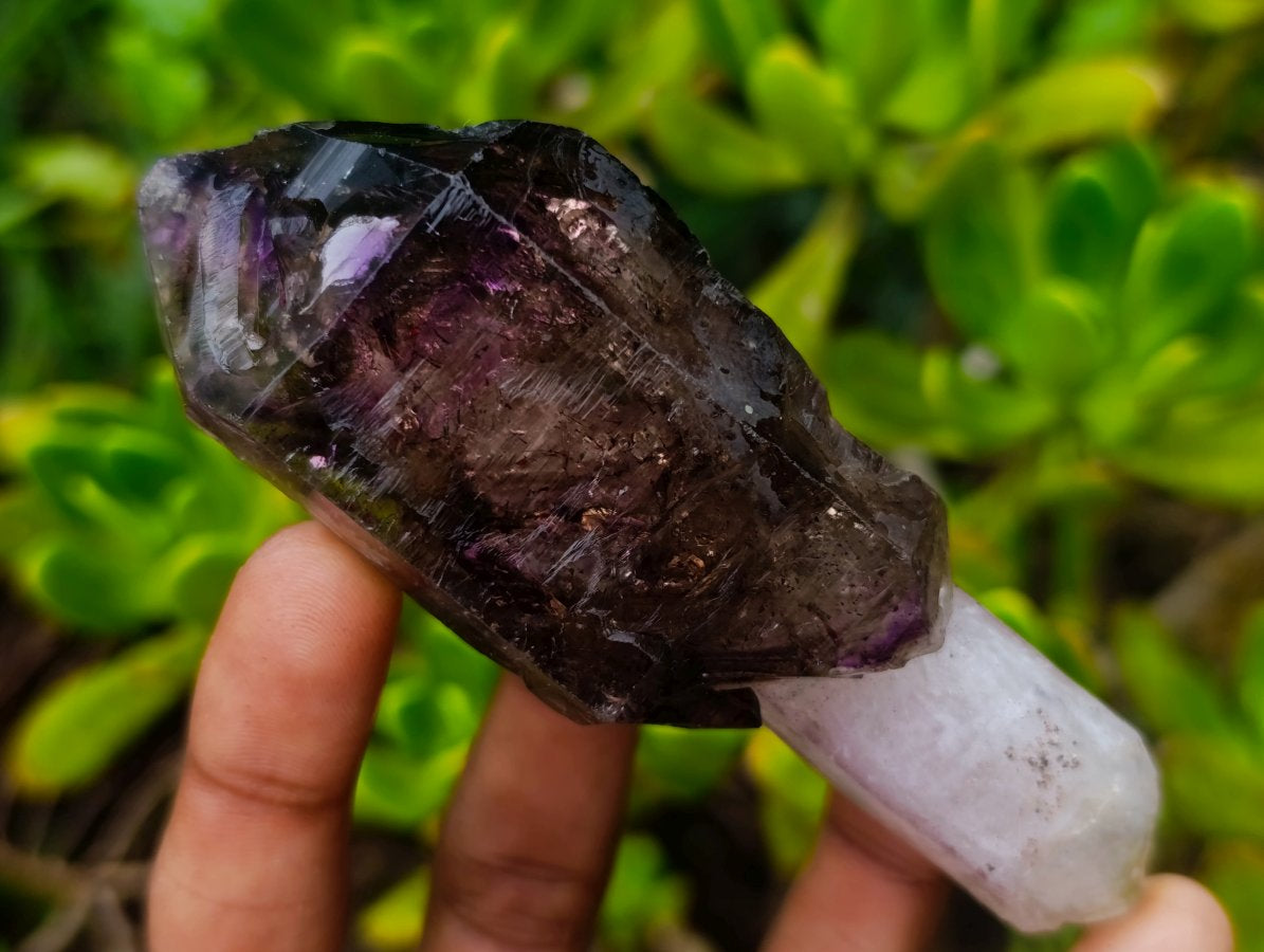 Natural Chiredzi Window Amethyst Scepter Crystal x 1 From Chiredzi, Zimbabwe