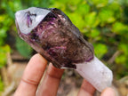 Natural Chiredzi Window Amethyst Scepter Crystal x 1 From Chiredzi, Zimbabwe