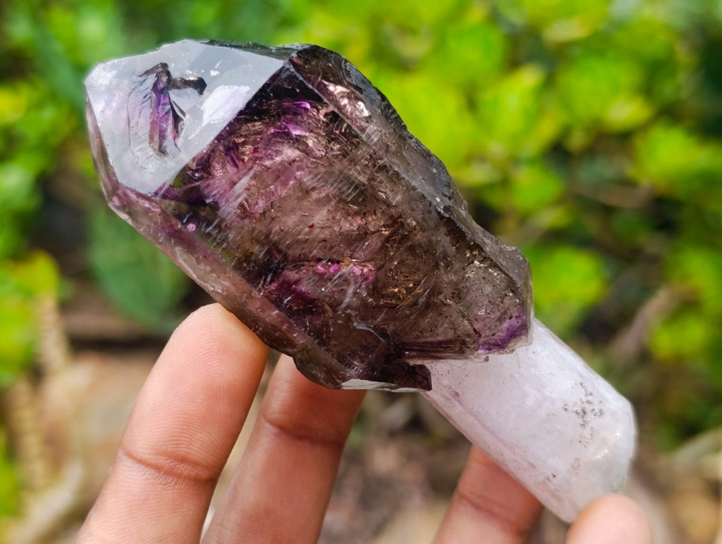 Natural Chiredzi Window Amethyst Scepter Crystal x 1 From Chiredzi, Zimbabwe