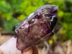 Natural Chiredzi Window Amethyst Scepter Crystal x 1 From Chiredzi, Zimbabwe