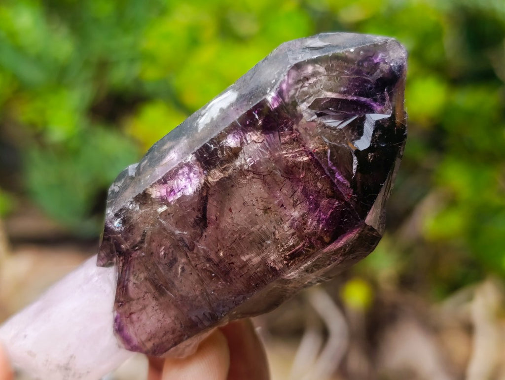 Natural Chiredzi Window Amethyst Scepter Crystal x 1 From Chiredzi, Zimbabwe