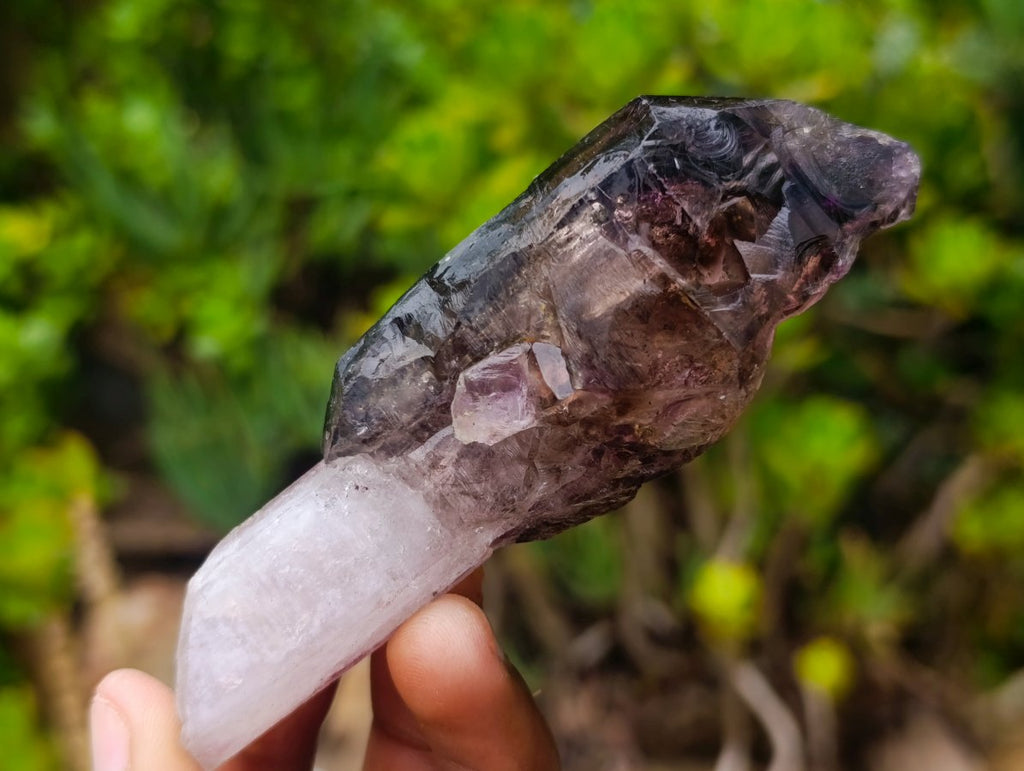 Natural Chiredzi Window Amethyst Scepter Crystal x 1 From Chiredzi, Zimbabwe