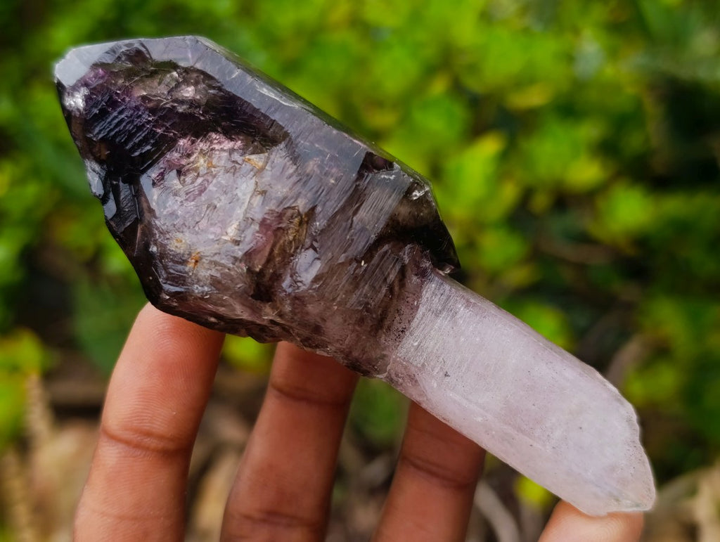Natural Chiredzi Window Amethyst Scepter Crystal x 1 From Chiredzi, Zimbabwe