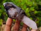Natural Chiredzi Window Amethyst Scepter Crystal x 1 From Chiredzi, Zimbabwe