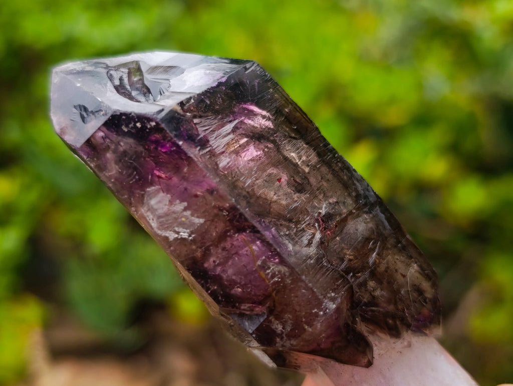 Natural Chiredzi Window Amethyst Scepter Crystal x 1 From Chiredzi, Zimbabwe