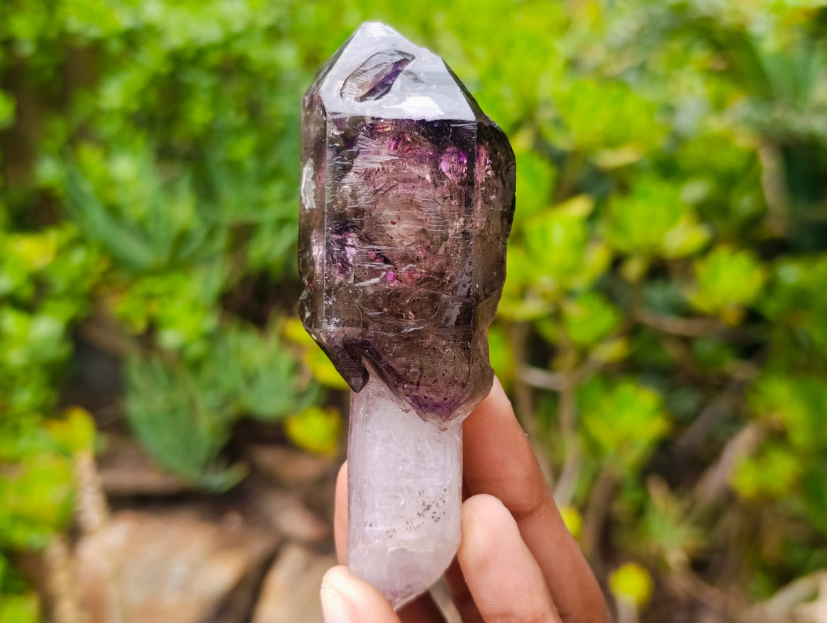 Natural Chiredzi Window Amethyst Scepter Crystal x 1 From Chiredzi, Zimbabwe