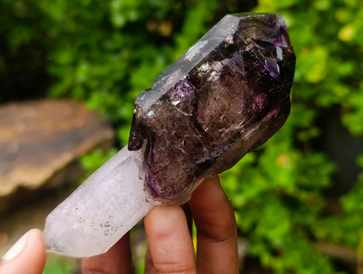 Natural Chiredzi Window Amethyst Scepter Crystal x 1 From Chiredzi, Zimbabwe