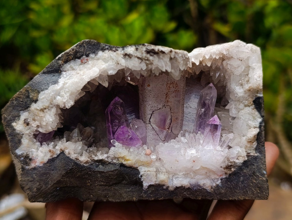 Natural Kinky Goboboseb Brandberg Amethyst Crystal Cave Vug Specimen x 1 From Brandberg, Namibia